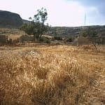 Arpalık (Agios Sozomenos) Once a Turkish Village. Burnt and Razed down by Greeks Arpalık (Agios Sozomenos) Once a Turkish Village. Burnt and Razed down by Greeks