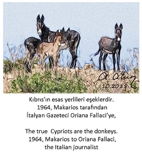Kıbrıs'ın Esas Yerlileri eşeklerdir. The true Cypriots are the donkeys. Makarios to Fallaci,,1964.
