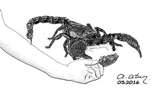 Terör kendini besleyeni akrep gibi sokar en sonunda